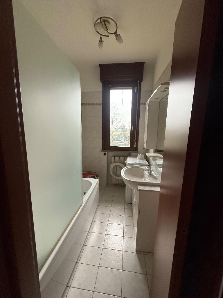 immagine annuncio 4 di 7