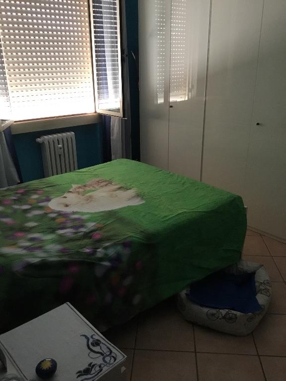 immagine annuncio 4 di 7