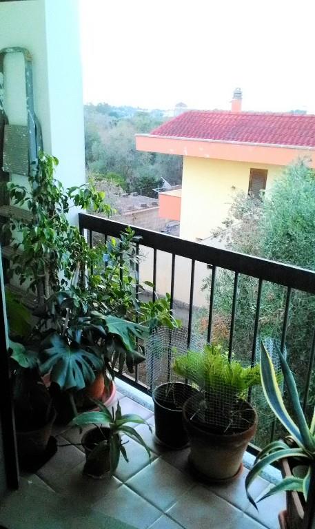 immagine annuncio 6 di 7