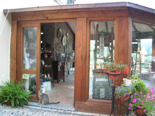 immagine annuncio 5 di 7
