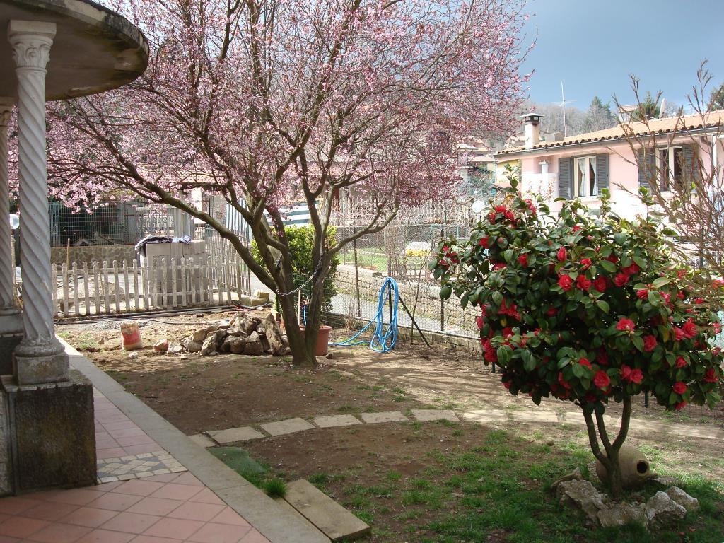 immagine annuncio 1 di 4