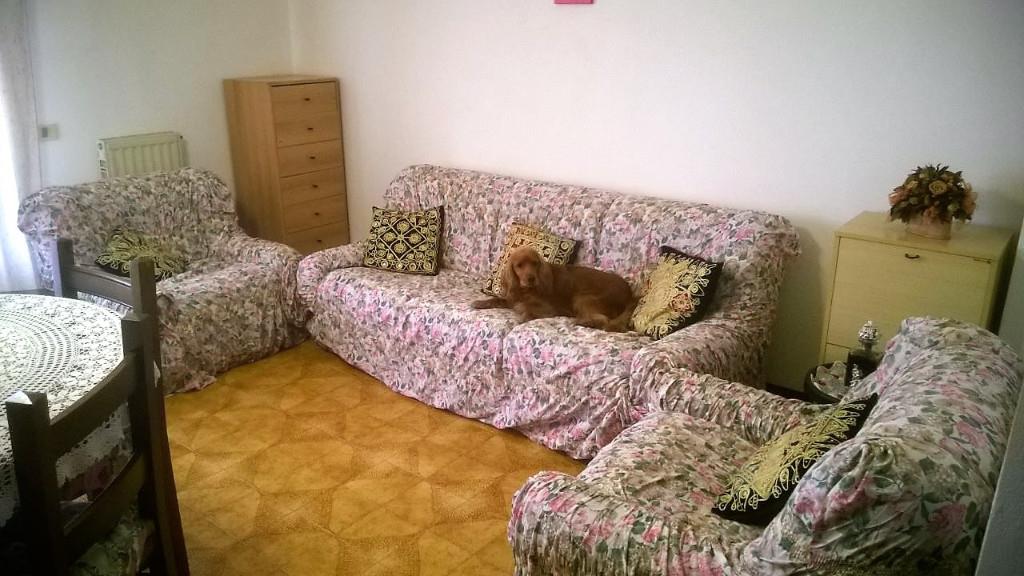 immagine annuncio 2 di 7