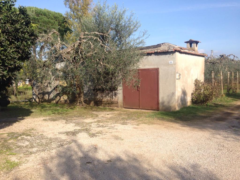 immagine annuncio 1 di 4