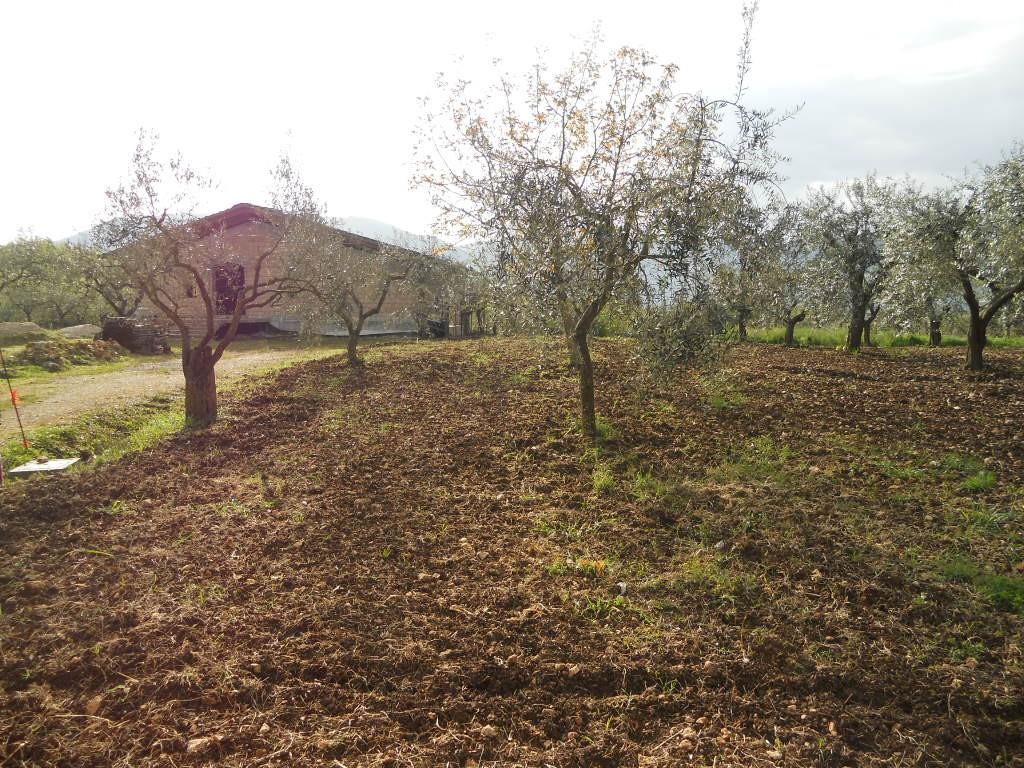 immagine annuncio 6 di 7