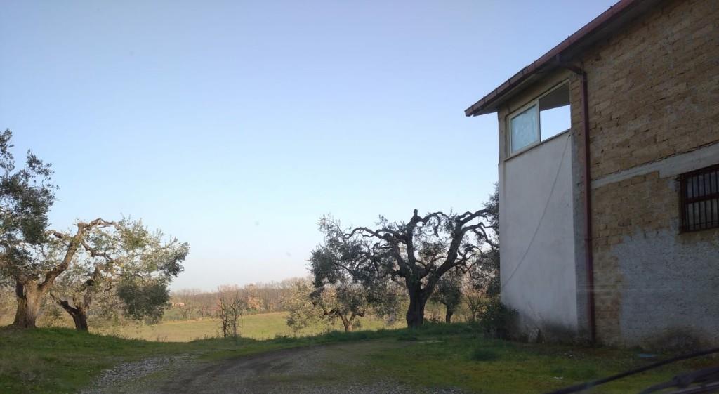 immagine annuncio 2 di 7