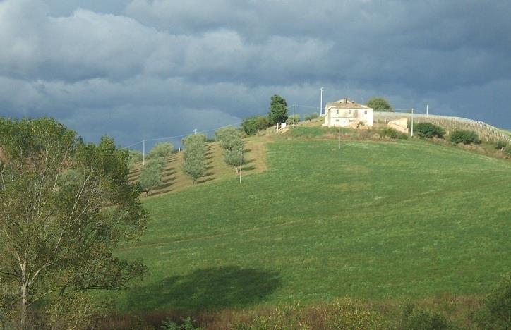 immagine annuncio 1 di 6
