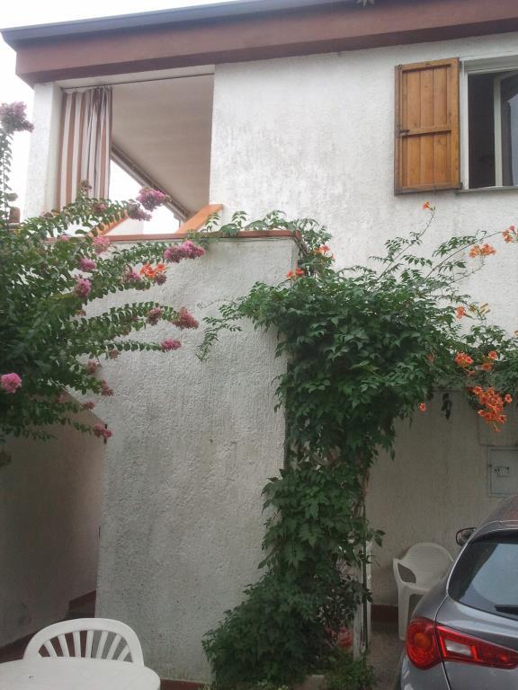 immagine annuncio 2 di 6