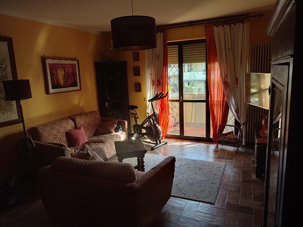 immagine annuncio 3 di 7