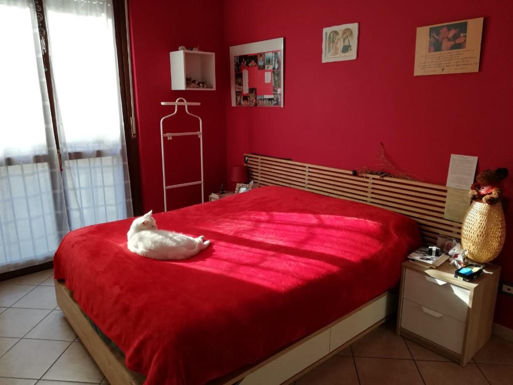 immagine annuncio 4 di 7