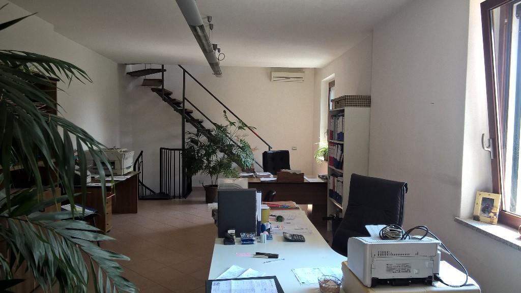 immagine annuncio 1 di 7