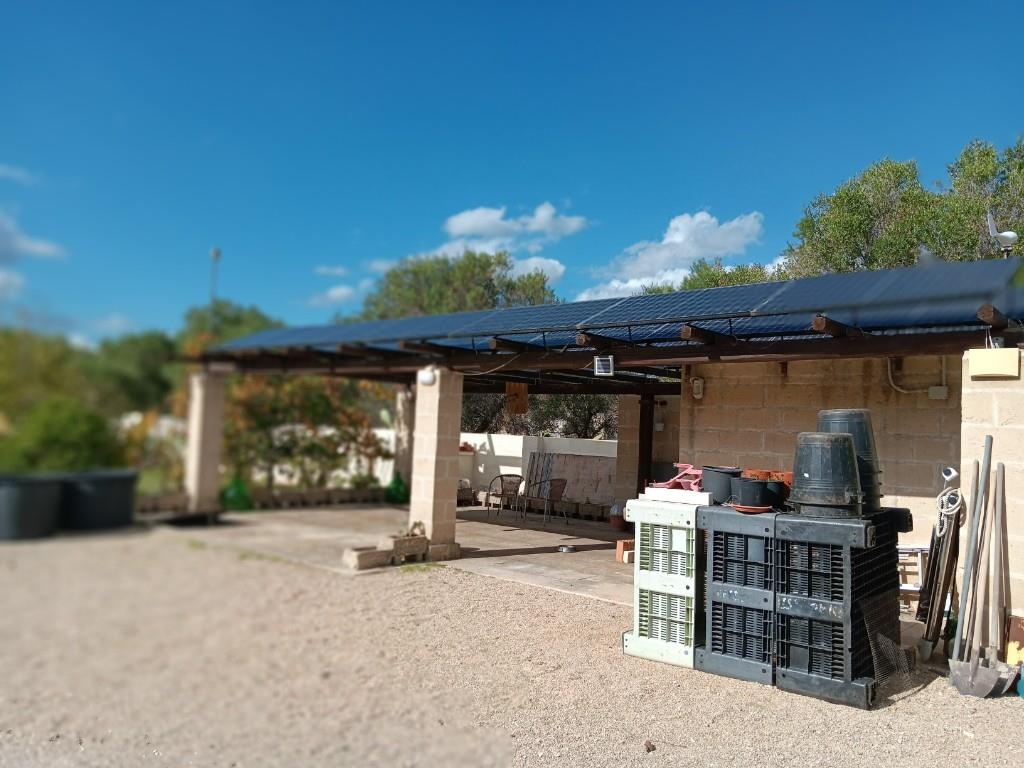 immagine annuncio 2 di 4