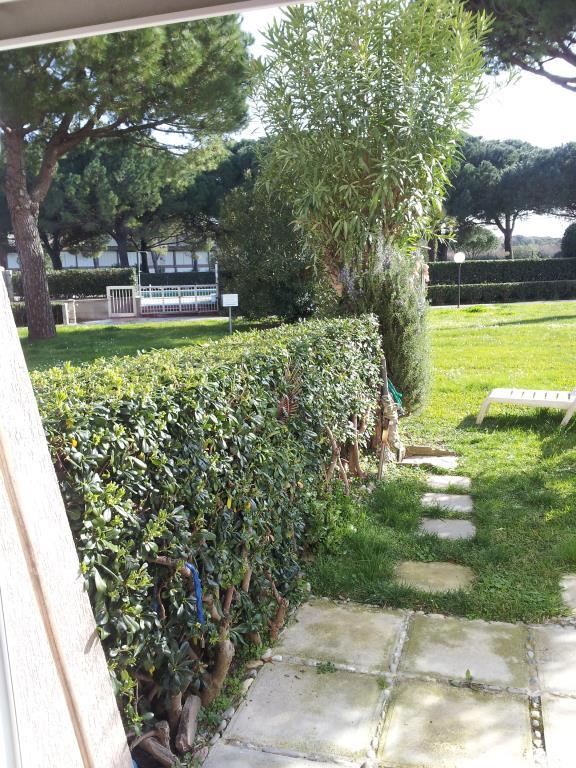 immagine annuncio 5 di 6