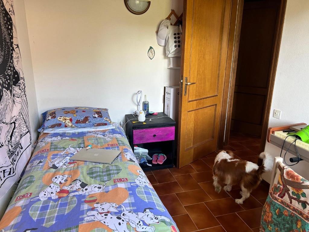 immagine annuncio 6 di 7