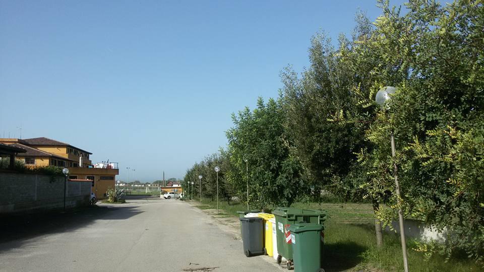 immagine annuncio 3 di 7