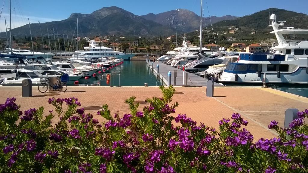 immagine annuncio 4 di 7