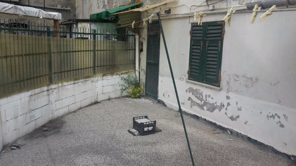 immagine annuncio 3 di 6