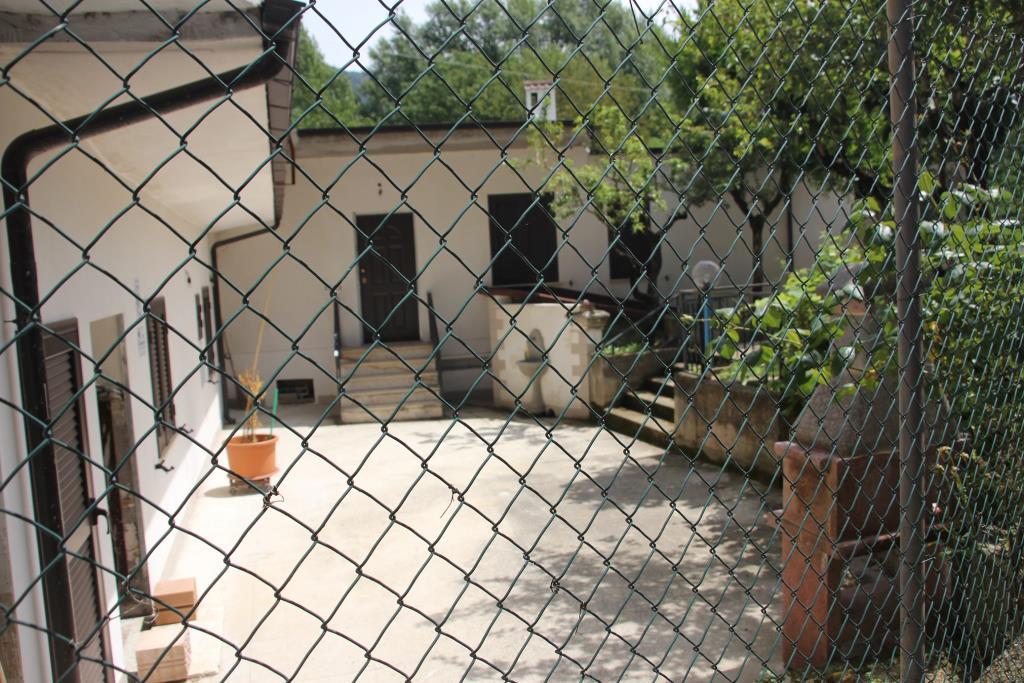 immagine annuncio 2 di 4