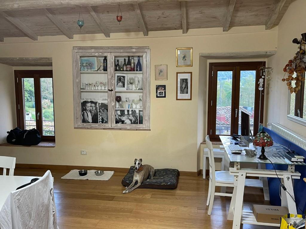 immagine annuncio 2 di 7