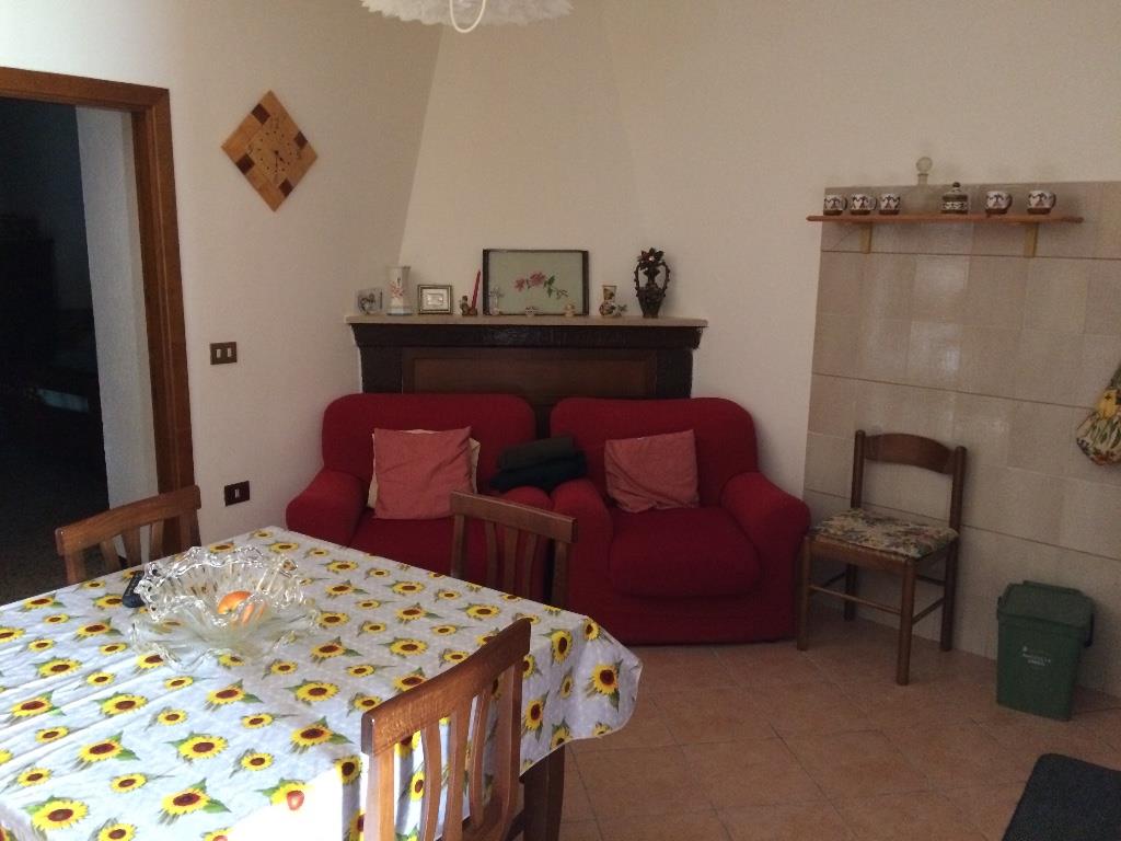 immagine annuncio 3 di 7