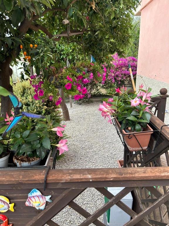 immagine annuncio 5 di 7