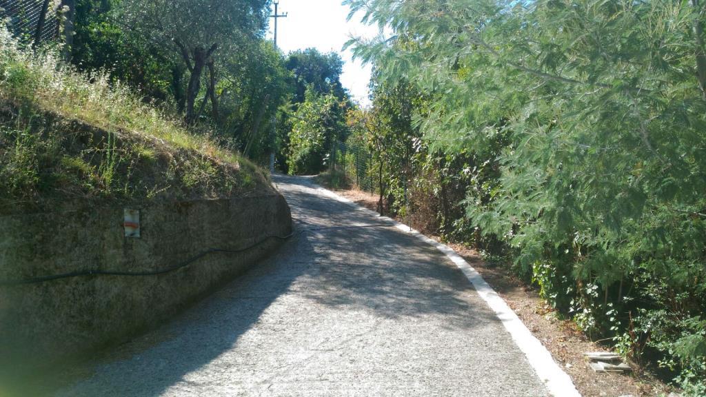 immagine annuncio 2 di 3
