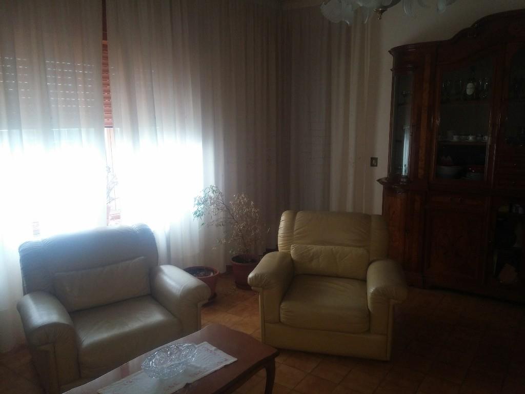 immagine annuncio 5 di 7