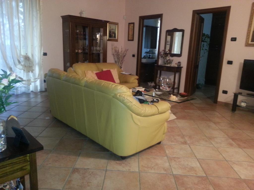 immagine annuncio 3 di 6