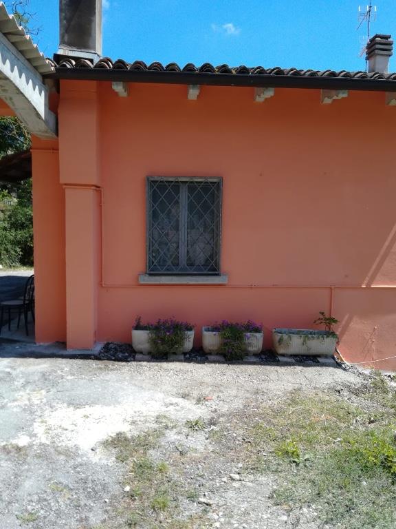 immagine annuncio 5 di 6