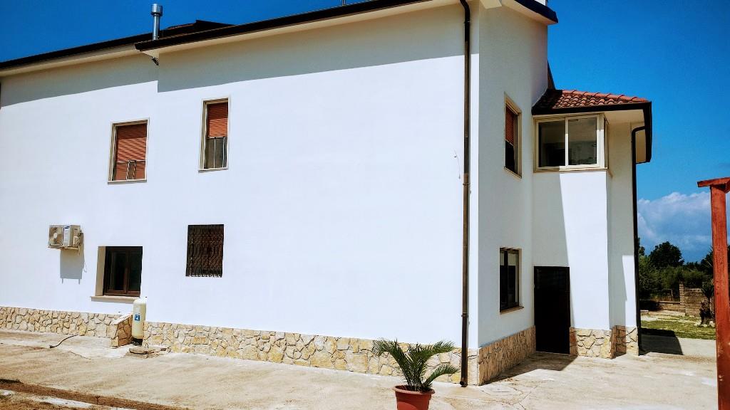 immagine annuncio 3 di 6