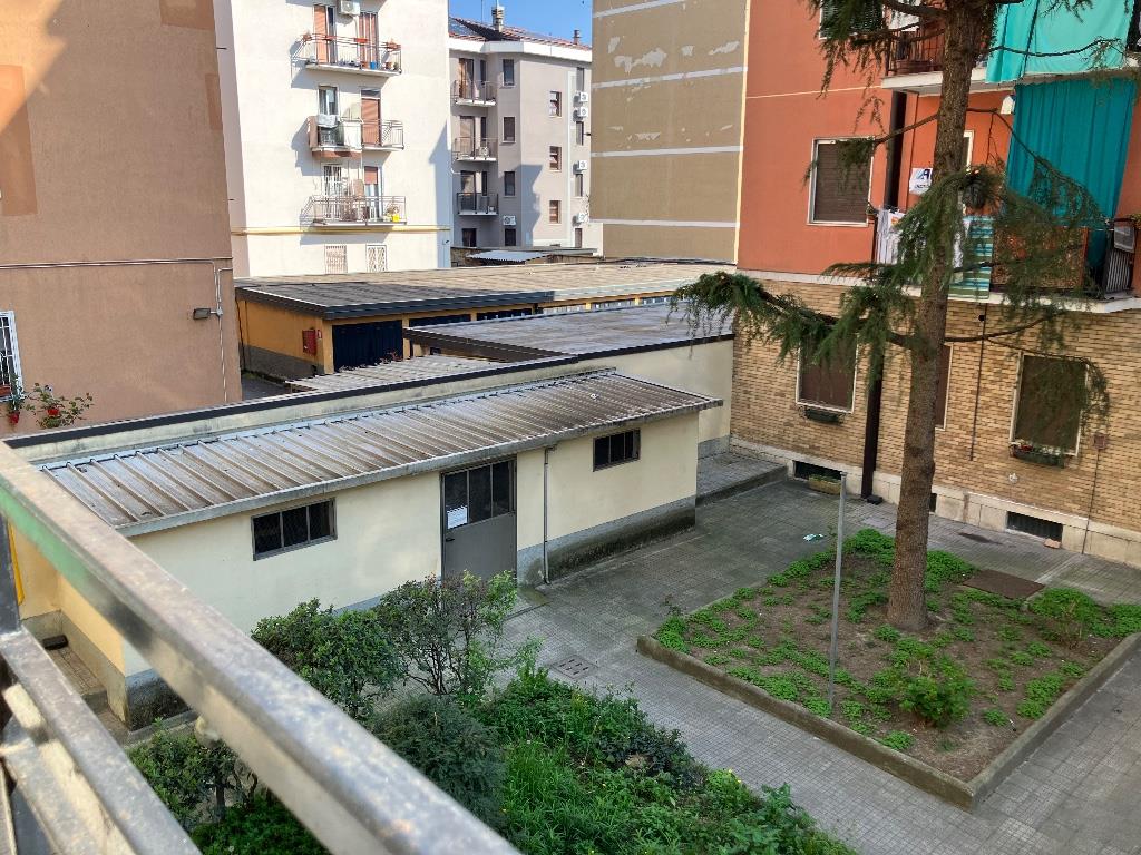 immagine annuncio 4 di 6