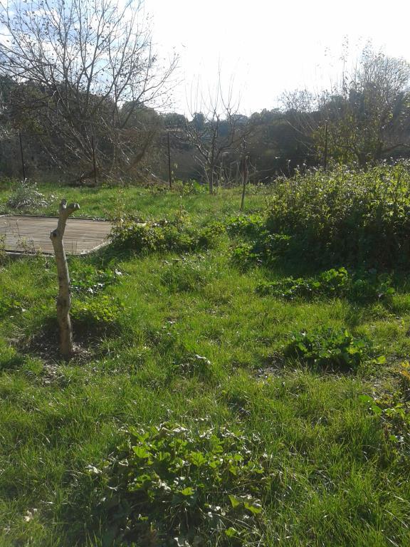 immagine annuncio 6 di 7