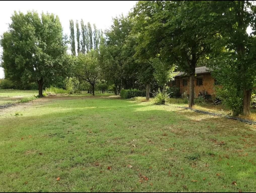 immagine annuncio 2 di 7