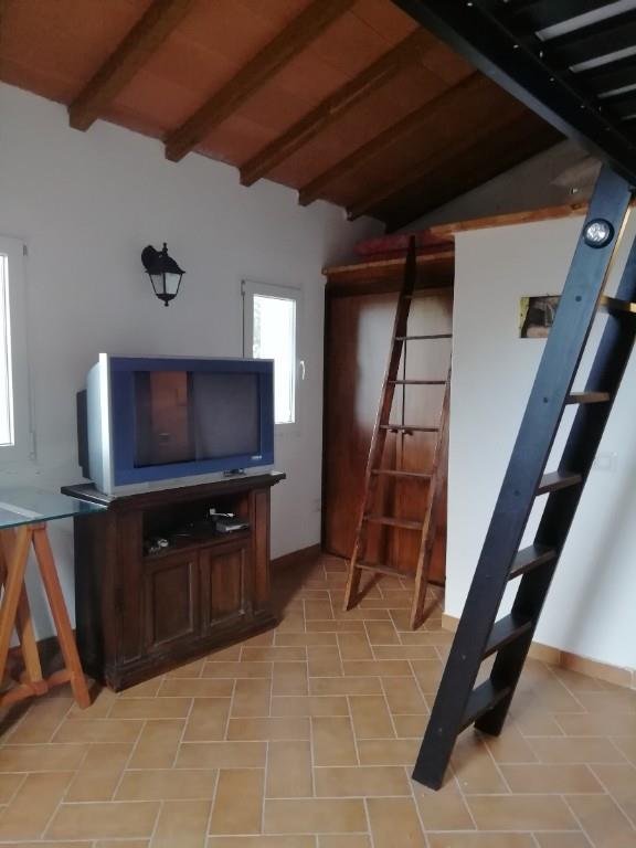 immagine annuncio 4 di 7