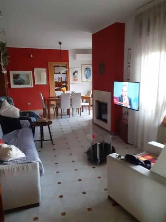 immagine annuncio 6 di 7