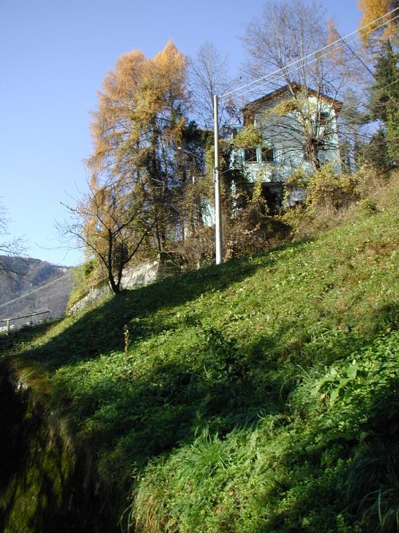immagine annuncio 1 di 7