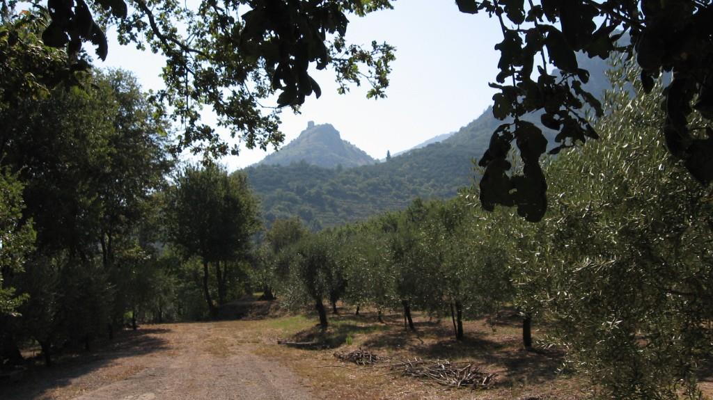 immagine annuncio 6 di 7