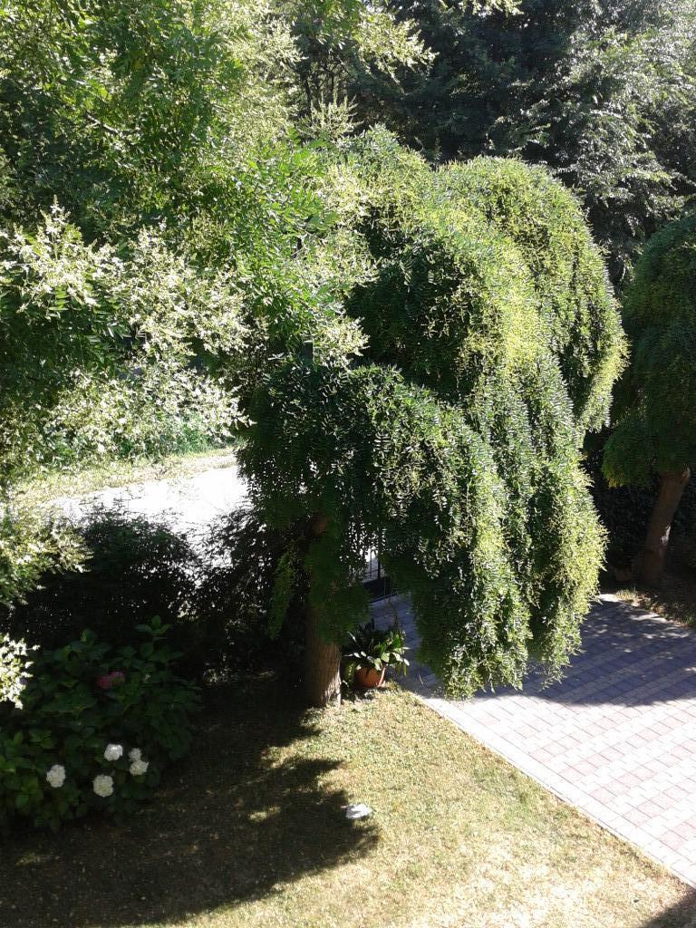 immagine annuncio 5 di 6