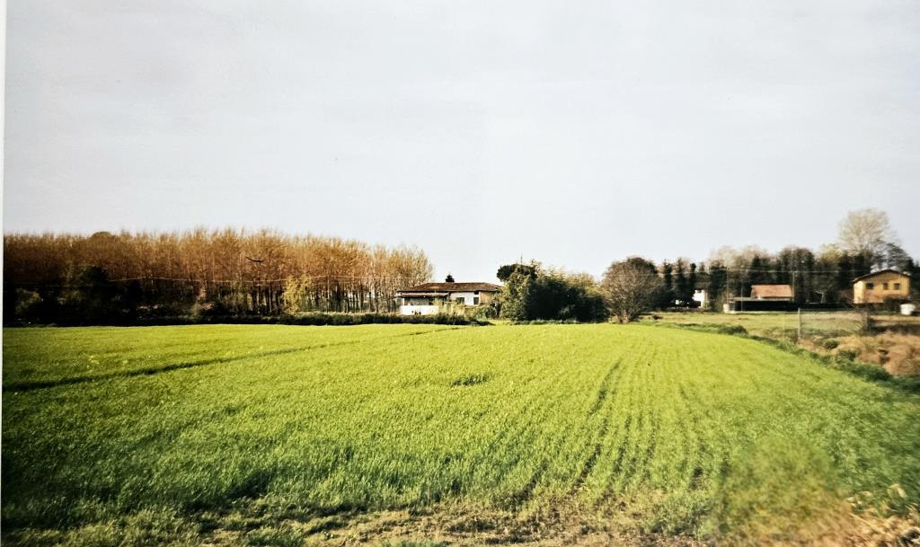 immagine annuncio 1 di 2