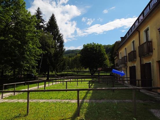 immagine annuncio 2 di 7