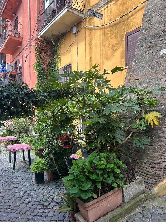 immagine annuncio 5 di 7