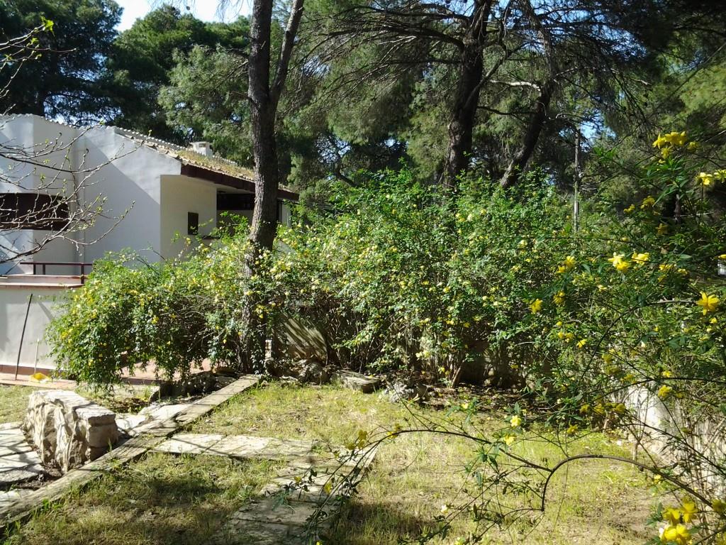 immagine annuncio 4 di 7