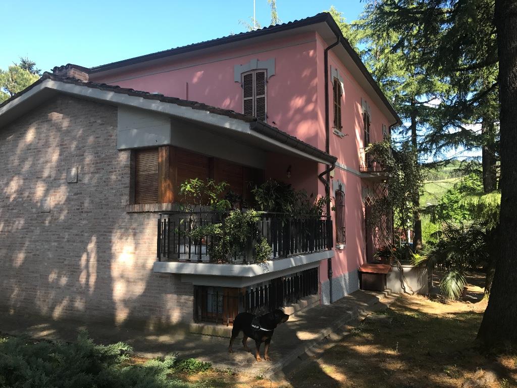 immagine annuncio 3 di 7