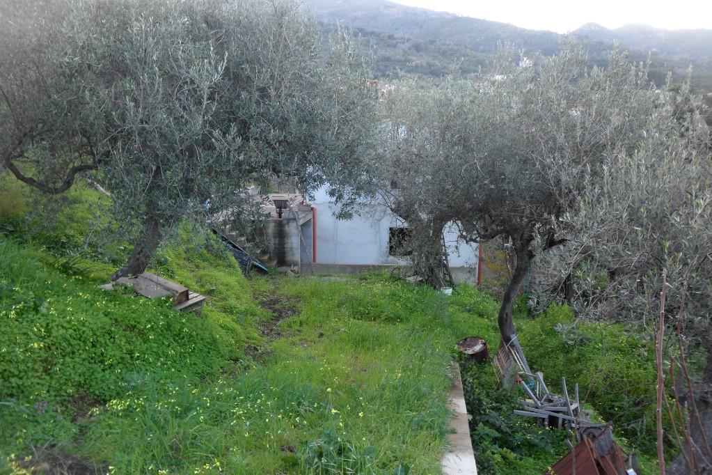 immagine annuncio 2 di 7