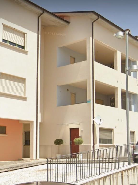 immagine annuncio 3 di 7