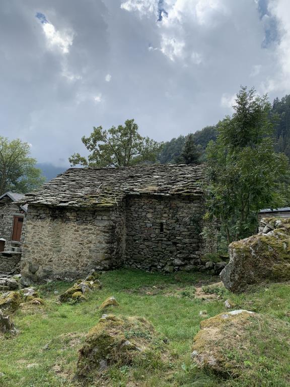 immagine annuncio 4 di 6