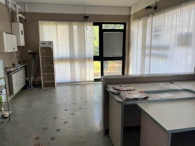 immagine annuncio 2 di 6