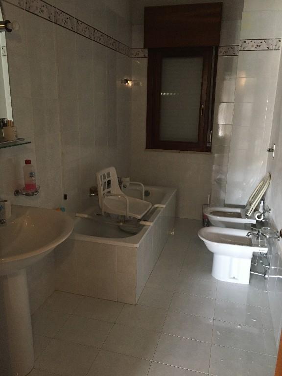 immagine annuncio 2 di 6