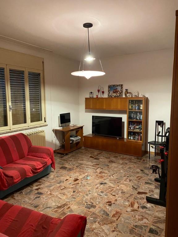 immagine annuncio 2 di 7