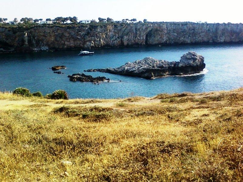 immagine annuncio 4 di 7