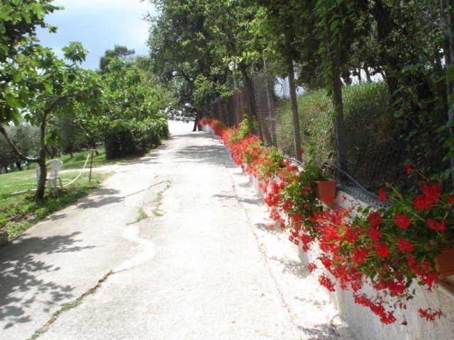 immagine annuncio 4 di 7